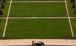 Licensed Plastic Salad