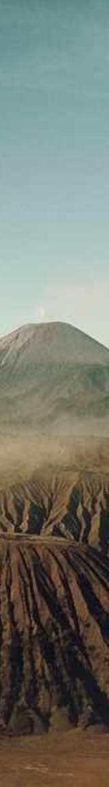 Image de la bouteille