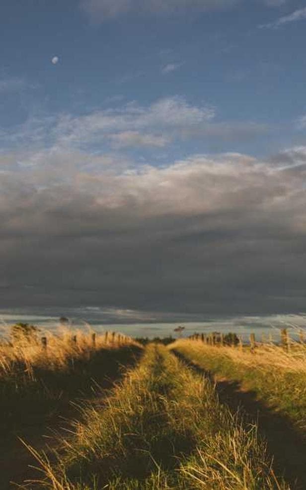 Image de la bouteille