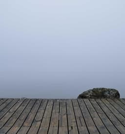 Incredible Plastic Mouse