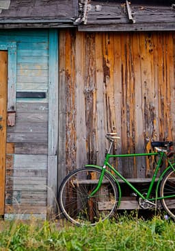 Elegant Bamboo Salad