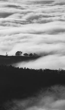 Generic Cotton Chips