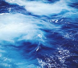 Intelligent Rubber Tuna