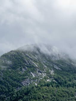 Intelligent Rubber Tuna