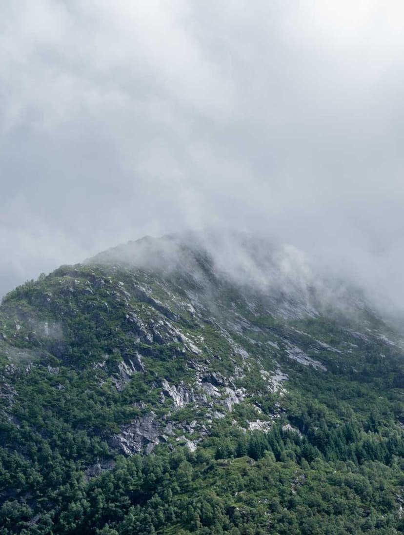 Image de la bouteille