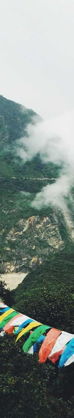 Electronic Aluminum Tuna