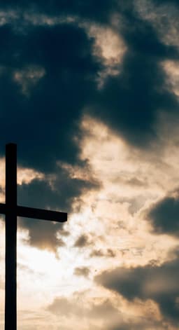 Fantastic Ceramic Sausages