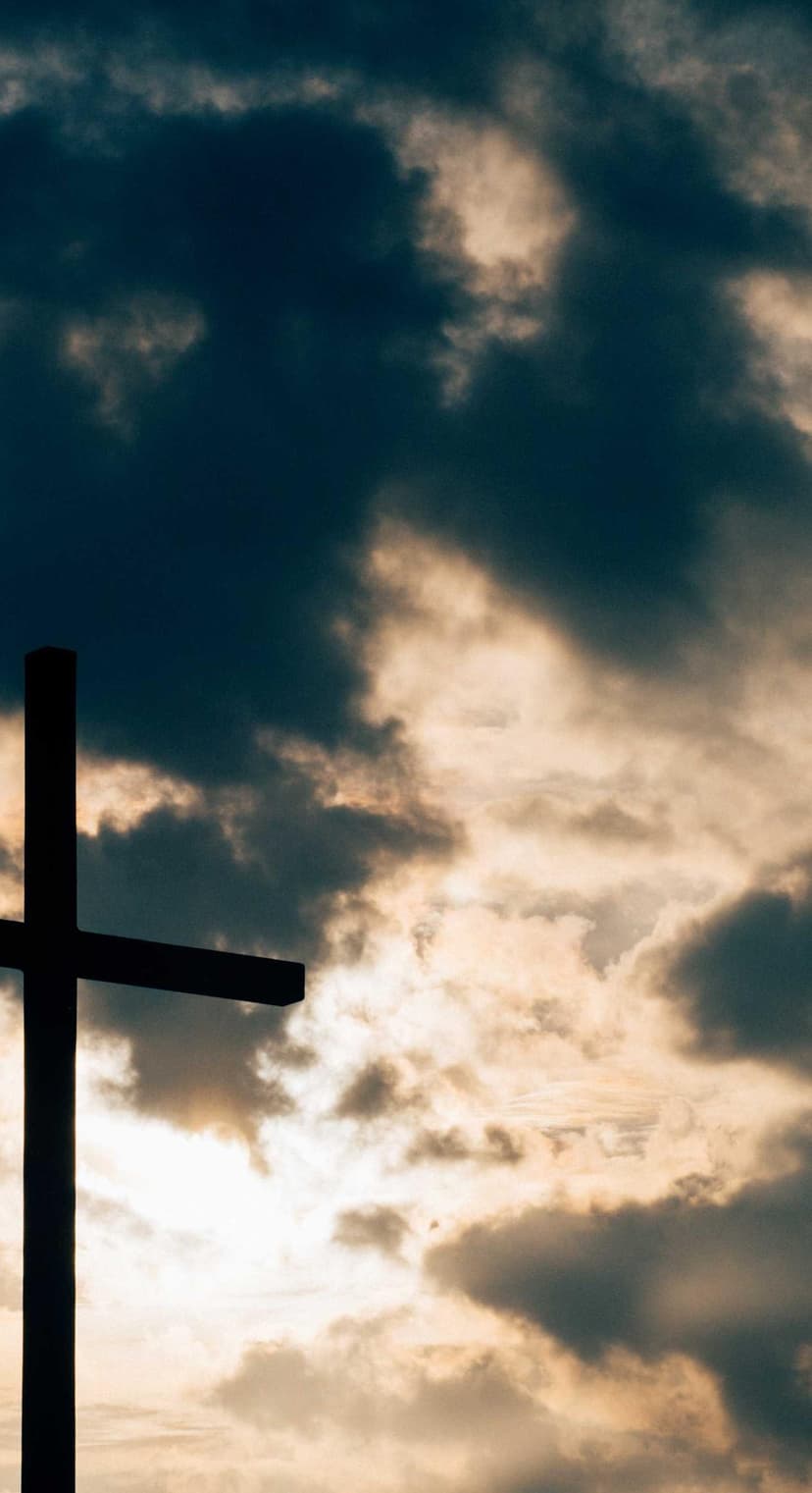 Image de la bouteille