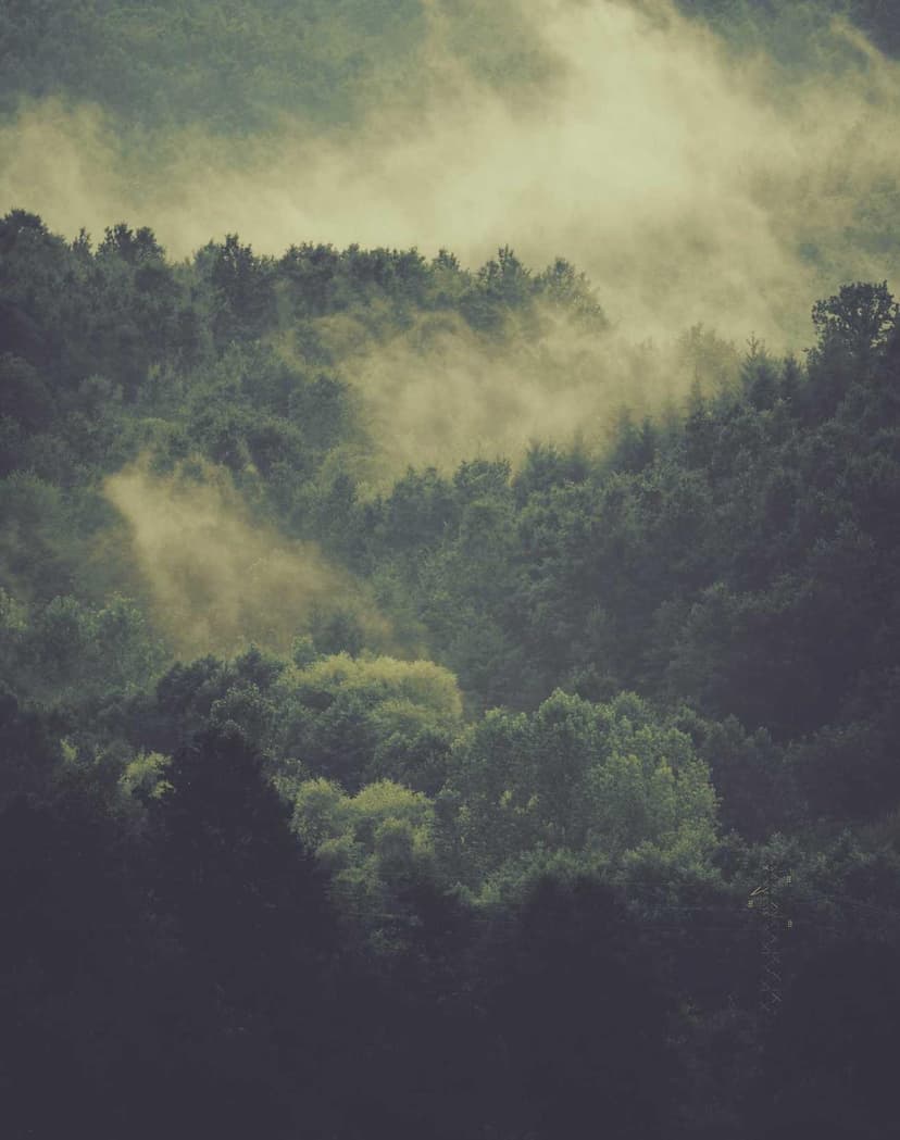 Image de la bouteille