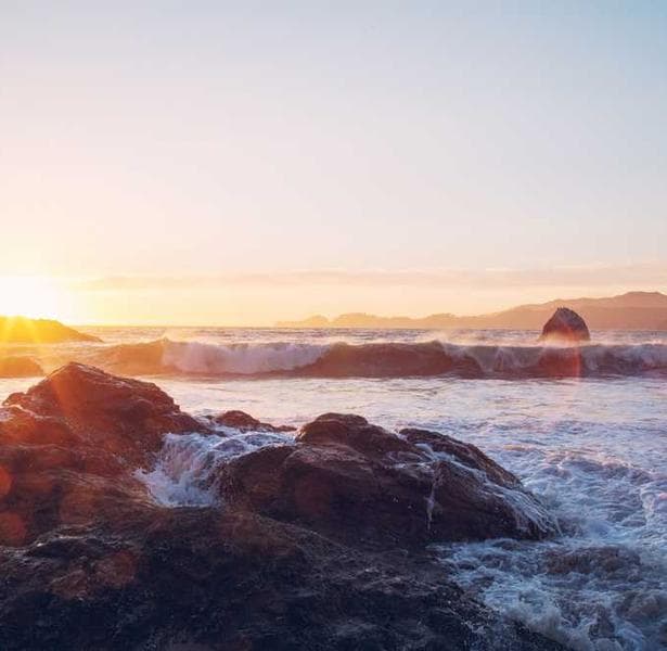 Image de la bouteille