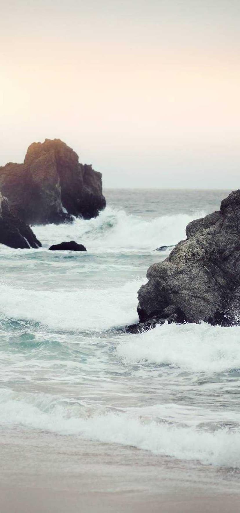 Image de la bouteille