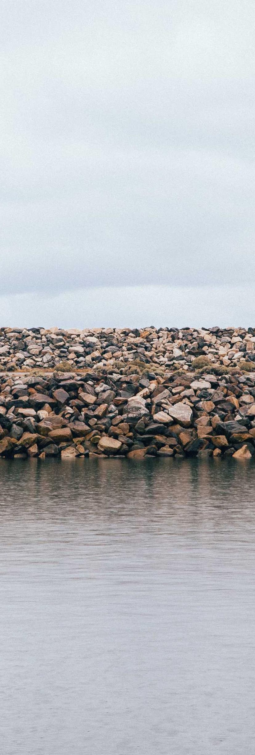 Image de la bouteille