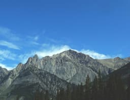 Practical Bamboo Shirt