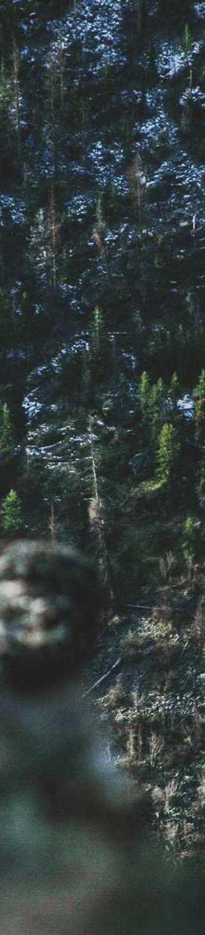 Image de la bouteille