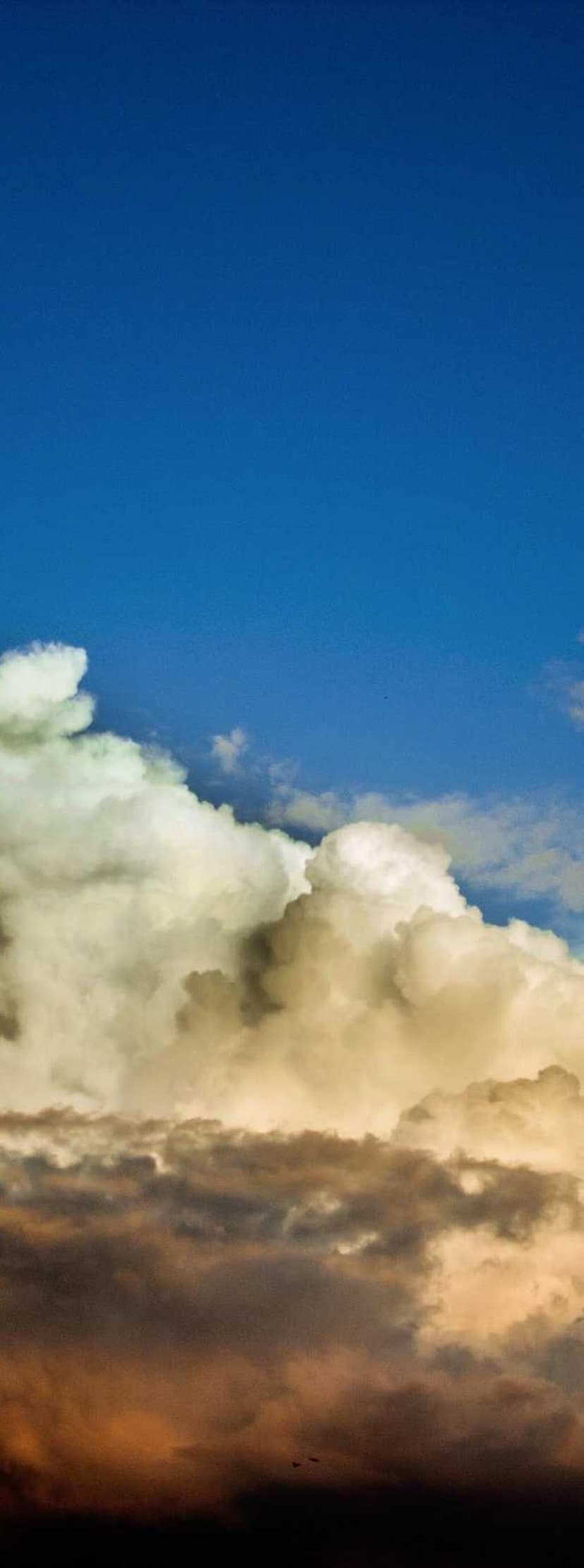 Image de la bouteille