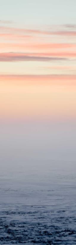 Electronic Plastic Tuna