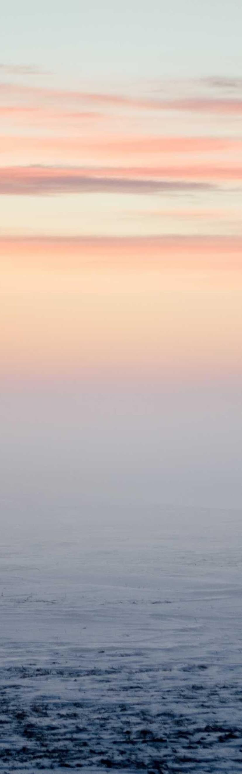 Image de la bouteille