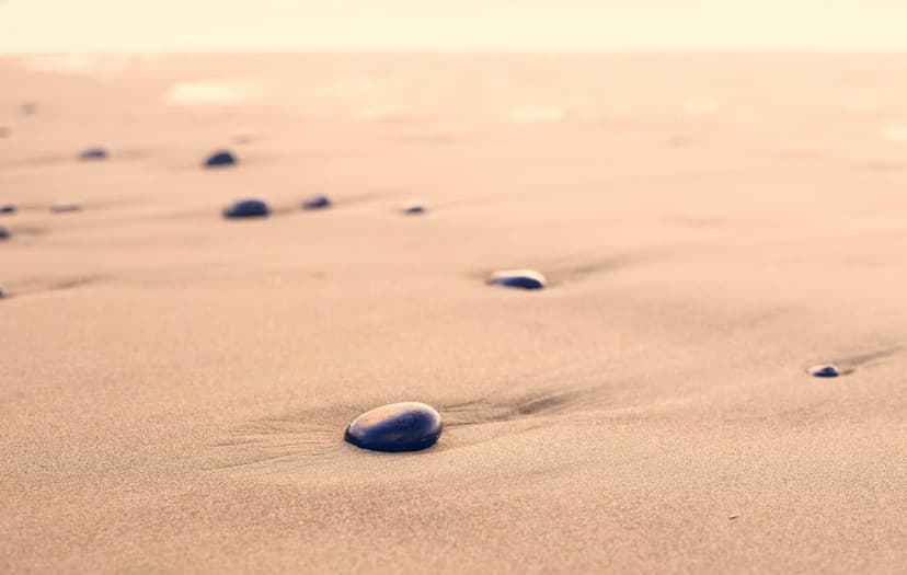 Image de la bouteille