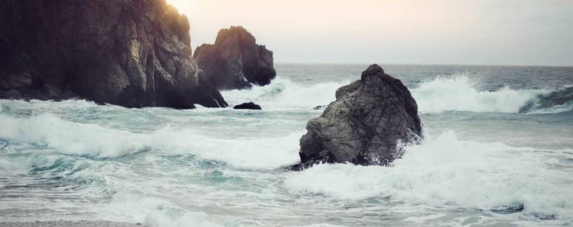 Image de la bouteille