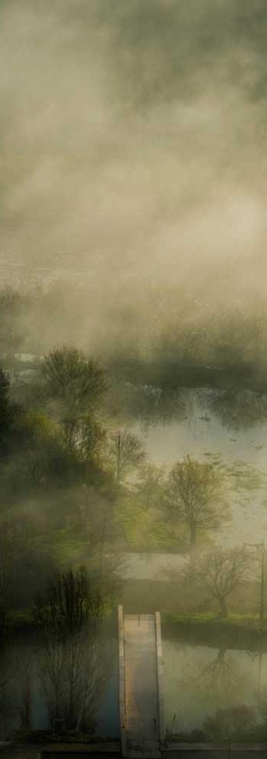 Image de la bouteille