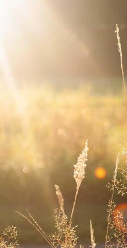 Licensed Aluminum Mouse