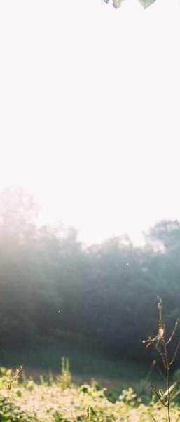 Image de la bouteille