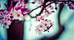 Incredible Wooden Gloves