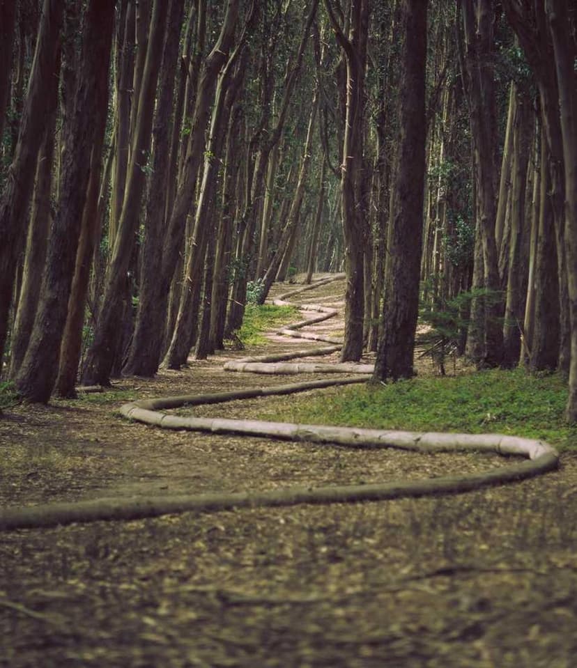 Image de la bouteille